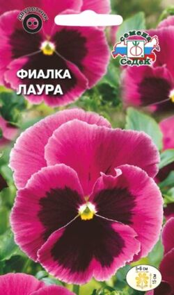 Семена фиалка витрокка Лаура лилово-розовая СЕДЕК 0,05 г